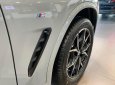 BMW X4 2022 - Xe hot có sẵn giao ngay quà tặng hấp dẫn