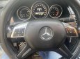 Mercedes-Benz E200 2013 - Xe màu bạc
