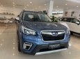 Subaru Forester 2022 - Ưu đãi tiền mặt và phụ kiện đón Tết - Tiết kiệm gần 300 triệu