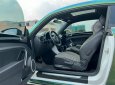 Volkswagen Beetle 2018 - Volkswagen Beetle 2018