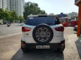 Ford EcoSport 2015 - Xe bao chất