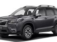 Subaru Forester 2022 - Subaru Forester 2022 số tự động tại Nghệ An