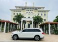 Mercedes-Benz GLS 400 4Matic 2016 - Bán Mercedes GLS400 4Matic sản xuất 2016, số AT, full option, màu trắng