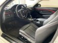 BMW 420i 2014 - Bán BMW 420i Sportline 2014 máy móc không lỗi, gầm bệ bảo dưỡng tốt theo định kỳ, option miên man