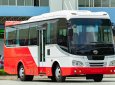 Samco Allergo 2022 - Bán xe khách Samco-Isuzu 29, đời 2021, giá 1 tỷ 390