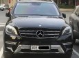 Mercedes-Benz ML 400 2015 - Bán Mercedes ML 400 sản xuất 2015, màu đen, nhập khẩu nguyên chiếc chính chủ
