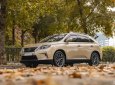 Lexus RX 300 2009 - Xe màu vàng cát, xe nhập