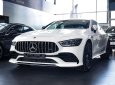 Mercedes-Benz GT53 2022 - 1 xe duy nhất