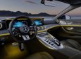 Mercedes-AMG GT 53 2022 - Xe 4 cửa sành điệu bậc nhất nhà Mercedes- nhập khẩu chính hãng- xe giao ngay