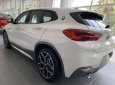 BMW X2 2022 - Bán ô tô BMW X2 sDrive20i năm sản xuất 2022, màu trắng, xe nhập