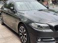 BMW 520i 2017 - BMW 520i model 2017 màu havana nội thất kem