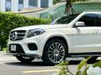 Mercedes-Benz GLS 400 2019 - Xe màu trắng