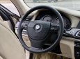 BMW 750Li 2009 - Cần bán BMW 750Li sản xuất năm 2009, màu kem (be), cam kết xe không đâm đụng, không ngập nước