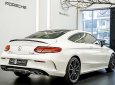 Mercedes-Benz C43 2018 - Bán ô tô Mercedes C43 3.0 V6 năm 2018, màu trắng, nhập khẩu