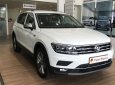 Volkswagen Tiguan Allspace 2022 - Lãi suất 0% và 0đ trước bạ khi mua xe Đức 7 chỗ nhập khẩu
