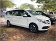 Mercedes-Benz V250 2023 - Xe gia đình 7 chỗ siêu rộng - Nhập khẩu chính hãng - Xe giao ngay