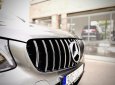 Mercedes-Benz GLC 300 2017 - Bán Mercedes GLC300 4MATIC sản xuất 2017