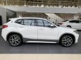 BMW X2 2022 - Bán ô tô BMW X2 sDrive20i năm sản xuất 2022, màu trắng, xe nhập