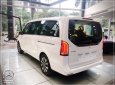 Mercedes-Benz V250 2023 - Xe gia đình 7 chỗ siêu rộng - Nhập khẩu chính hãng - Xe giao ngay