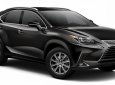 Lexus NX 300    2021 - Bán Lexus NX 300 sản xuất 2021, màu đen, nhập khẩu nguyên chiếc  