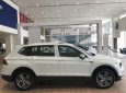 Volkswagen Tiguan Allspace 2022 - Lãi suất 0% và 0đ trước bạ khi mua xe Đức 7 chỗ nhập khẩu