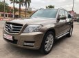 Mercedes-Benz GLK300 2009 - Cần bán gấp Mercedes GLK 300 4Matic năm sản xuất 2009, nhập khẩu