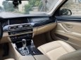 BMW 520i 2017 - BMW 520i model 2017 màu havana nội thất kem