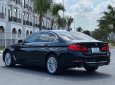 BMW 530i  Luxury Line 2020 - Cần bán BMW 530i Luxury Line sản xuất 2020, màu đen, nhập khẩu