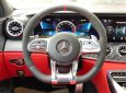 Mercedes-Benz GT53 2022 - 1 xe duy nhất
