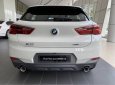 BMW X2 2022 - Bán ô tô BMW X2 sDrive20i năm sản xuất 2022, màu trắng, xe nhập
