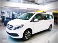 Mercedes-Benz V250 2023 - Xe gia đình 7 chỗ siêu rộng - Nhập khẩu chính hãng - Xe giao ngay