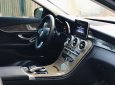 Mercedes-Benz C 250 2019 - Màu đen, xe nhập