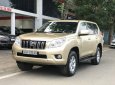 Toyota Land Cruiser Prado 2012 - Màu vàng cát, giá chỉ 988tr