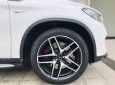 Mercedes-Benz GLE 43 2018 - Xe rất hiếm