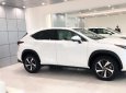 Lexus NX 300 2021 - Bán ô tô Lexus NX 300 năm sản xuất 2021, màu trắng