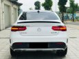 Mercedes-Benz GLE 43 2019 - Xe màu trắng nội thất kem