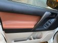 Toyota Land Cruiser Prado 2010 - Màu trắng, xe nhập, giá chỉ 963 triệu