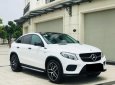 Mercedes-Benz GLE 43 2018 - Xe rất hiếm