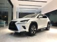 Lexus NX 300 2021 - Bán ô tô Lexus NX 300 năm sản xuất 2021, màu trắng