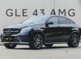 Mercedes-Benz GLE 43 2017 - Màu đen, xe nhập số tự động