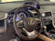 Lexus RX 300 2019 - Xe màu đỏ