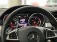 Mercedes-Benz GLE 43 2017 - Màu đỏ, nội thất nâu