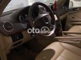 Mercedes-Benz GL 450 2008 - Màu ghi vàng