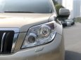 Toyota Land Cruiser Prado 2010 - Xe siêu đẹp cực chất. Biển Hà Nội