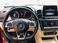 Mercedes-Benz GLE 43 2019 - Xe màu trắng nội thất kem