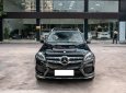 Mercedes-Benz GLS 500 2016 - Cần bán xe đăng ký 2017, màu đen