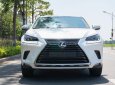 Lexus NX 300 2017 - Xe màu trắng