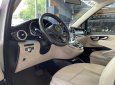 Mercedes-Benz V250 2017 - Xe màu trắng nội thất kem