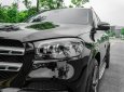 Mercedes-Benz GLS 450 2019 - Xe màu đen