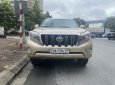 Toyota Land Cruiser Prado 2010 - Odo 12 vạn km